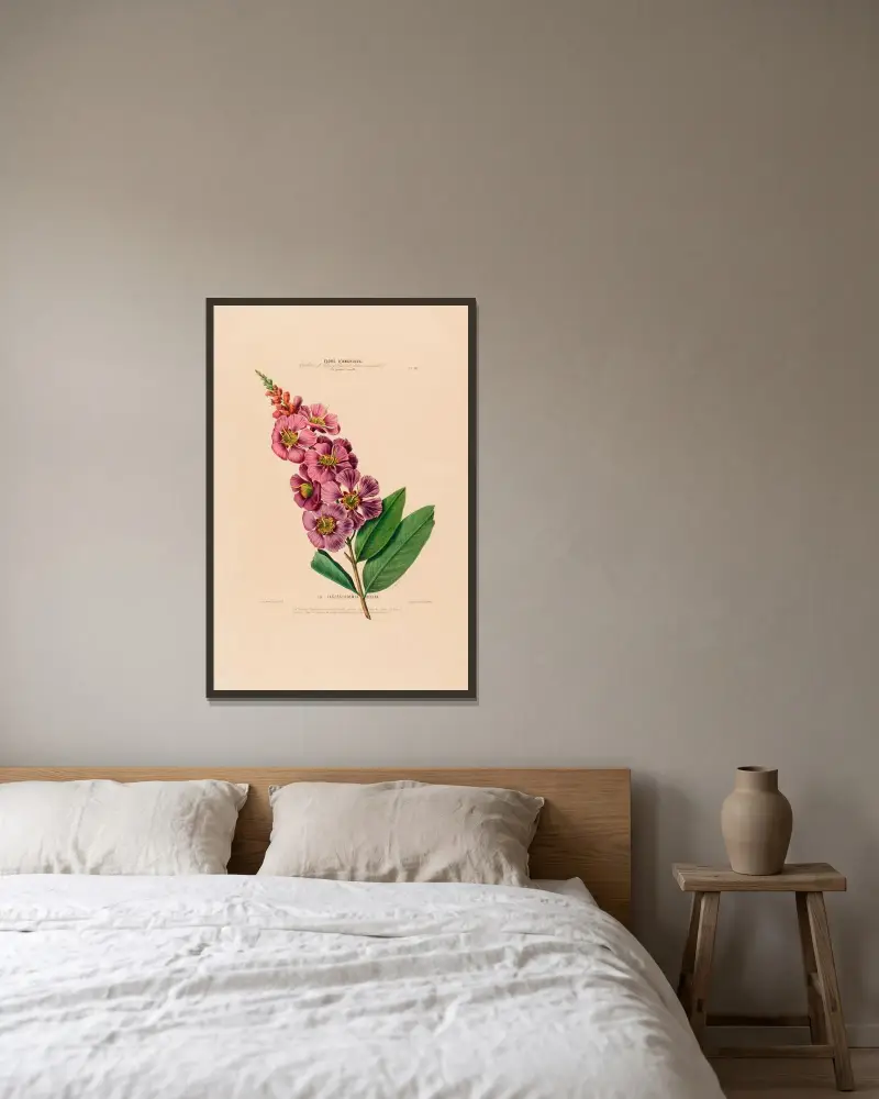 Flore d’Amérique, dessinée d’après nature sur les lieux Pl.018 av Etienne Denisse inramad på en vägg