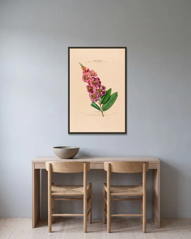 Flore d’Amérique, dessinée d’après nature sur les lieux Pl.018 av Etienne Denisse inramad på en vägg