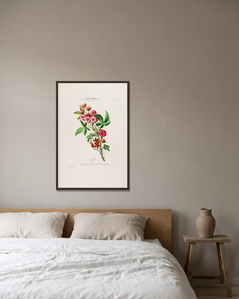 Flore d’Amérique, dessinée d’après nature sur les lieux Pl.019 av Etienne Denisse inramad på en vägg