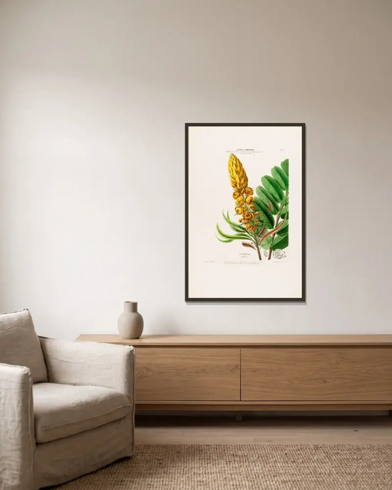 Flore d’Amérique, dessinée d’après nature sur les lieux Pl.020 av Etienne Denisse inramad på en vägg