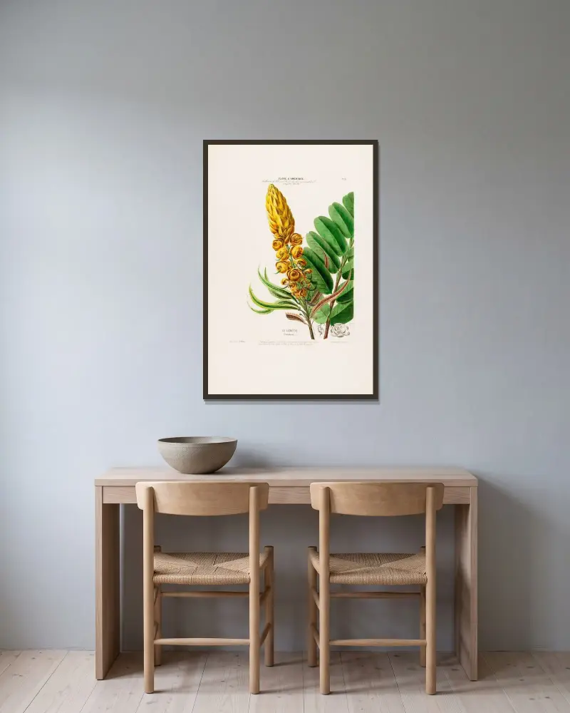 Flore d’Amérique, dessinée d’après nature sur les lieux Pl.020 av Etienne Denisse inramad på en vägg