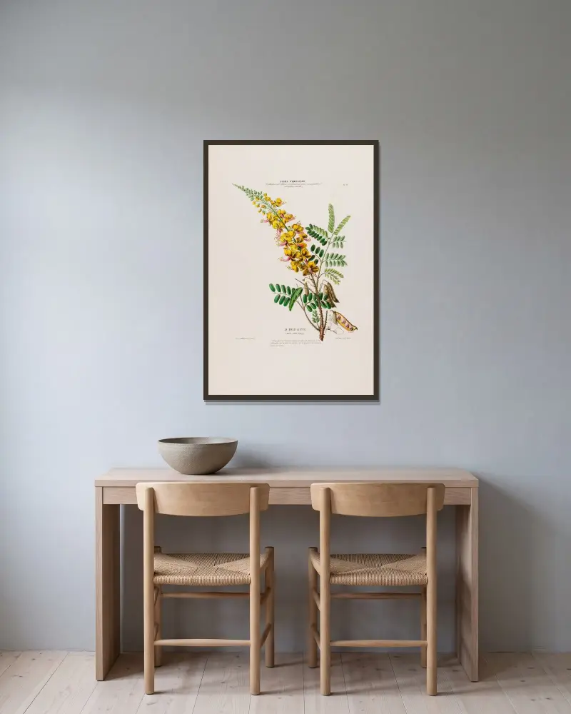 Flore d'Amérique, tecknad efter naturen på plats Pl.021 av Etienne Denisse inramad på en vägg