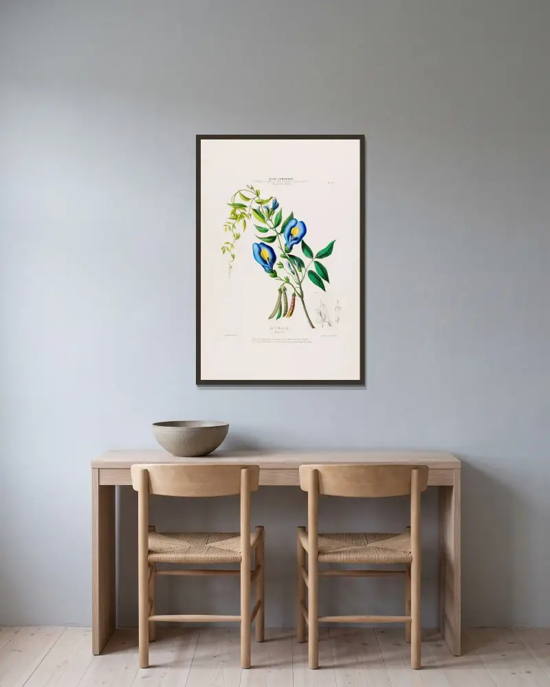 Flore d’Amérique, dessinée d’après nature sur les lieux Pl.022 av Etienne Denisse inramad på en vägg