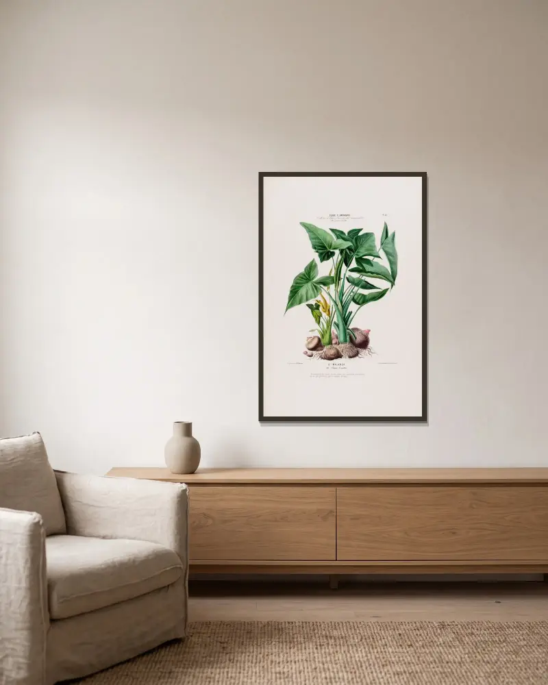 Flora von Amerika, nach der Natur an Ort und Stelle gezeichnet Taf. 023 von Etienne Denisse gerahmt an einer Wand