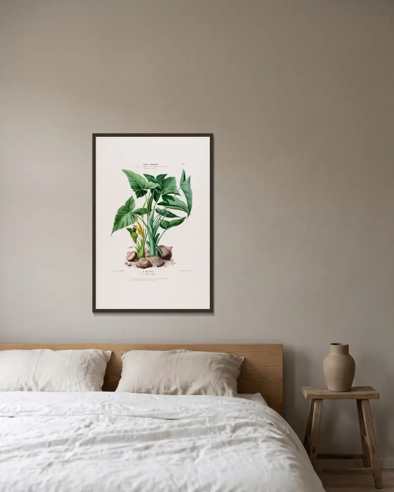 Flora von Amerika, nach der Natur an Ort und Stelle gezeichnet Taf. 023 von Etienne Denisse gerahmt an einer Wand