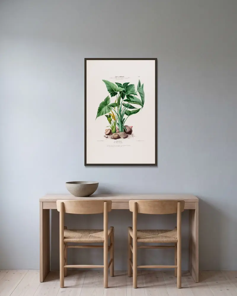 Flora von Amerika, nach der Natur an Ort und Stelle gezeichnet Taf. 023 von Etienne Denisse gerahmt an einer Wand