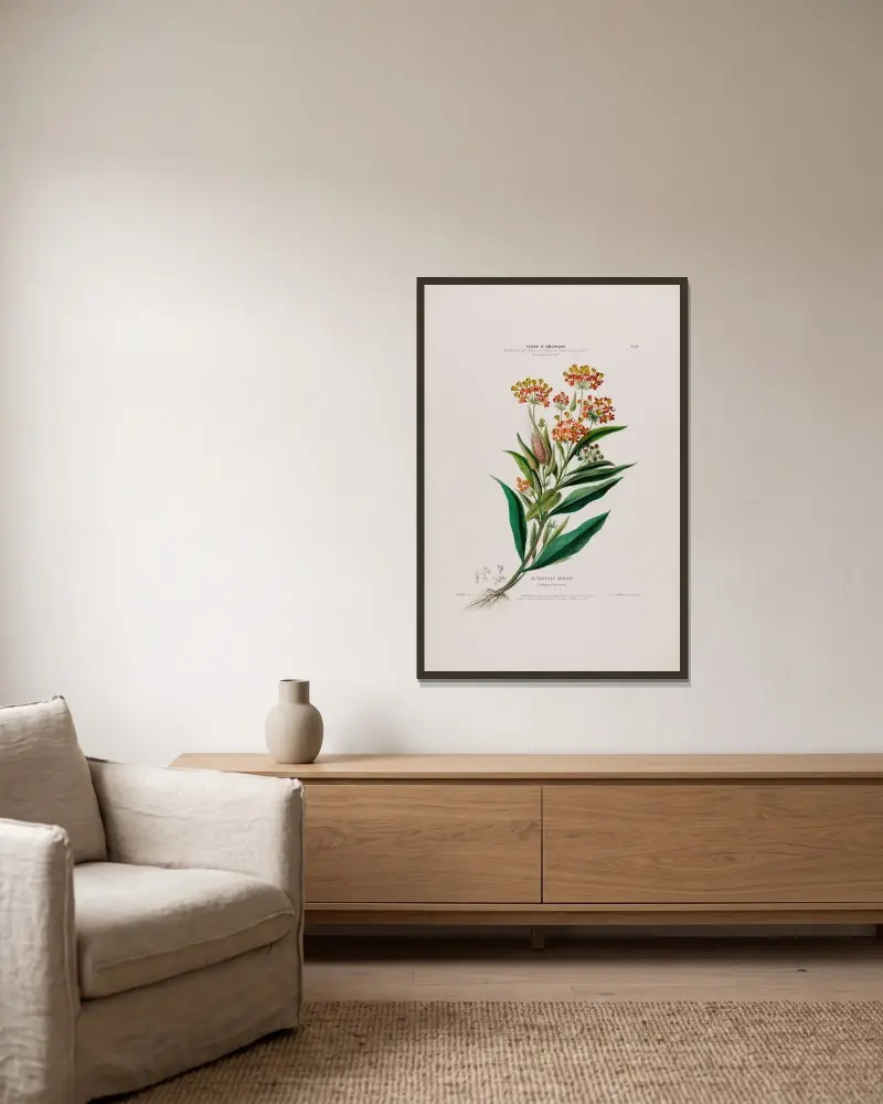 Flore d’Amérique, dessinée d’après nature sur les lieux Pl.024 av Etienne Denisse inramad på en vägg