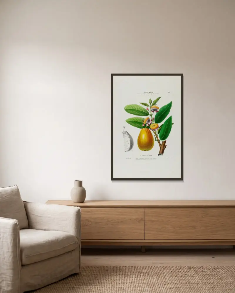 Flore d’Amérique, dessinée d’après nature sur les lieux Pl.026 av Etienne Denisse inramad på en vägg