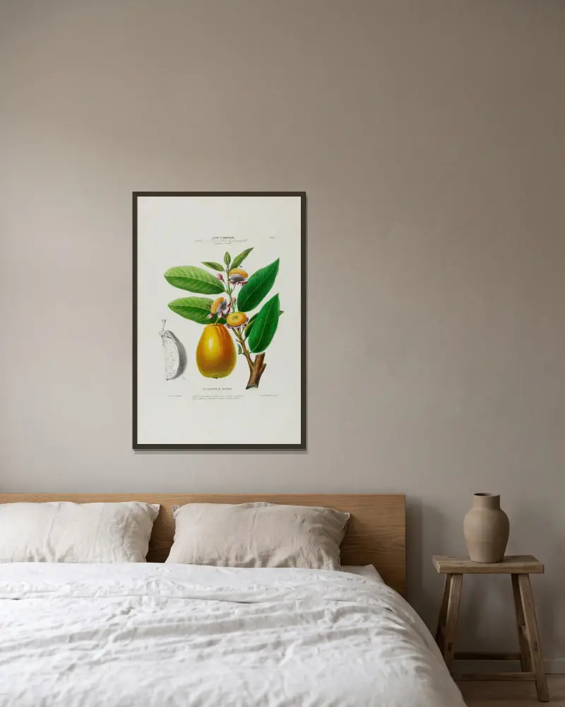 Flore d’Amérique, dessinée d’après nature sur les lieux Pl.026 av Etienne Denisse inramad på en vägg