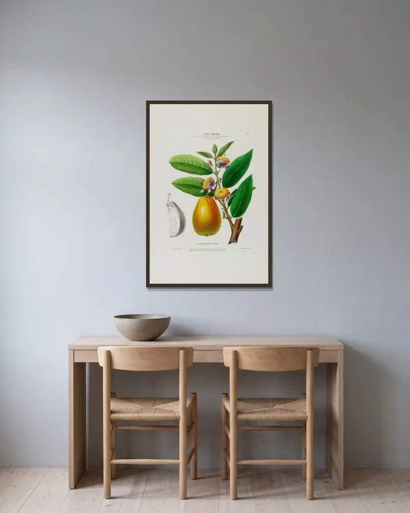 Flore d’Amérique, dessinée d’après nature sur les lieux Pl.026 av Etienne Denisse inramad på en vägg