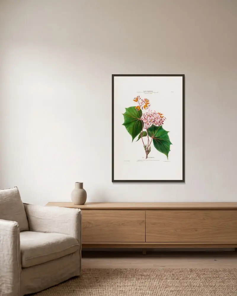 Flore d’Amérique, dessinée d’après nature sur les lieux Pl.030 av Etienne Denisse inramad på en vägg