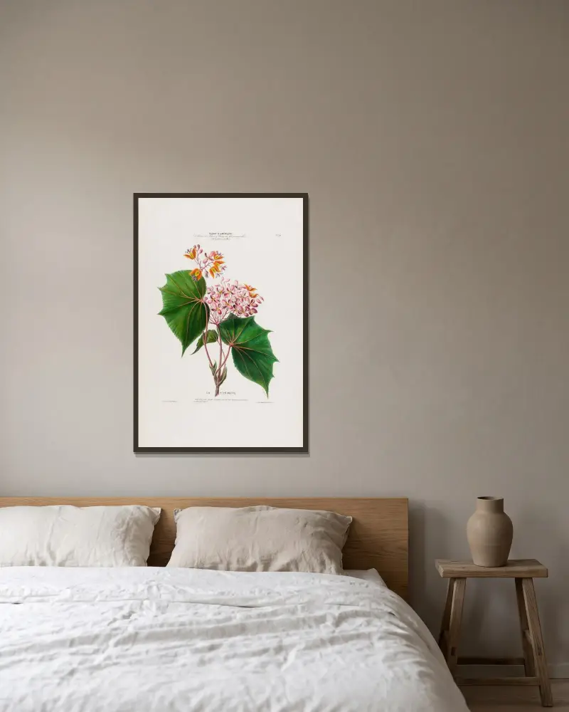 Flore d’Amérique, dessinée d’après nature sur les lieux Pl.030 av Etienne Denisse inramad på en vägg