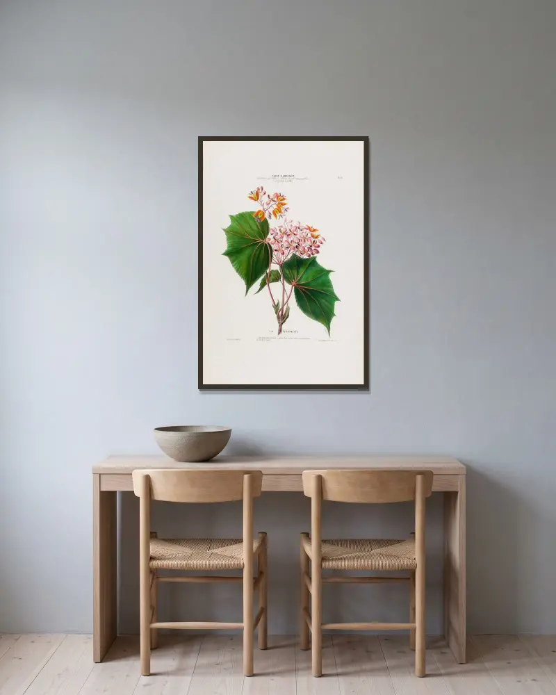 Flore d’Amérique, dessinée d’après nature sur les lieux Pl.030 av Etienne Denisse inramad på en vägg