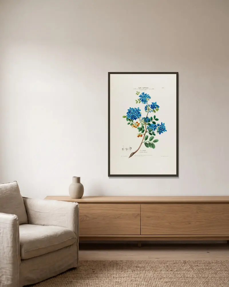 Flore d’Amérique, tecknad efter naturen på plats Pl.033 av Etienne Denisse inramad på en vägg