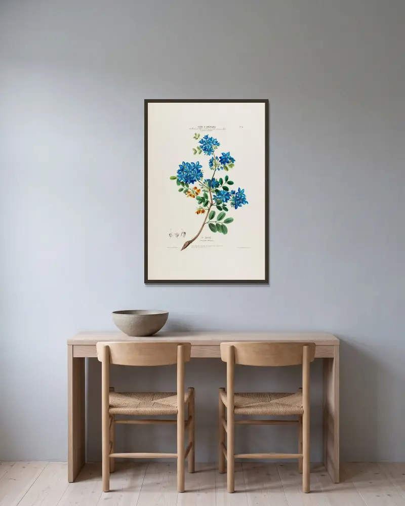 Flore d’Amérique, tecknad efter naturen på plats Pl.033 av Etienne Denisse inramad på en vägg