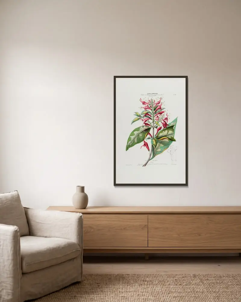 Flore d’Amérique, dessinée d’après nature sur les lieux Pl.034 av Etienne Denisse inramad på en vägg