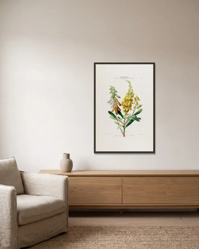 Flore d’Amérique, tecknad efter naturen på plats Pl.035 av Etienne Denisse inramad på en vägg