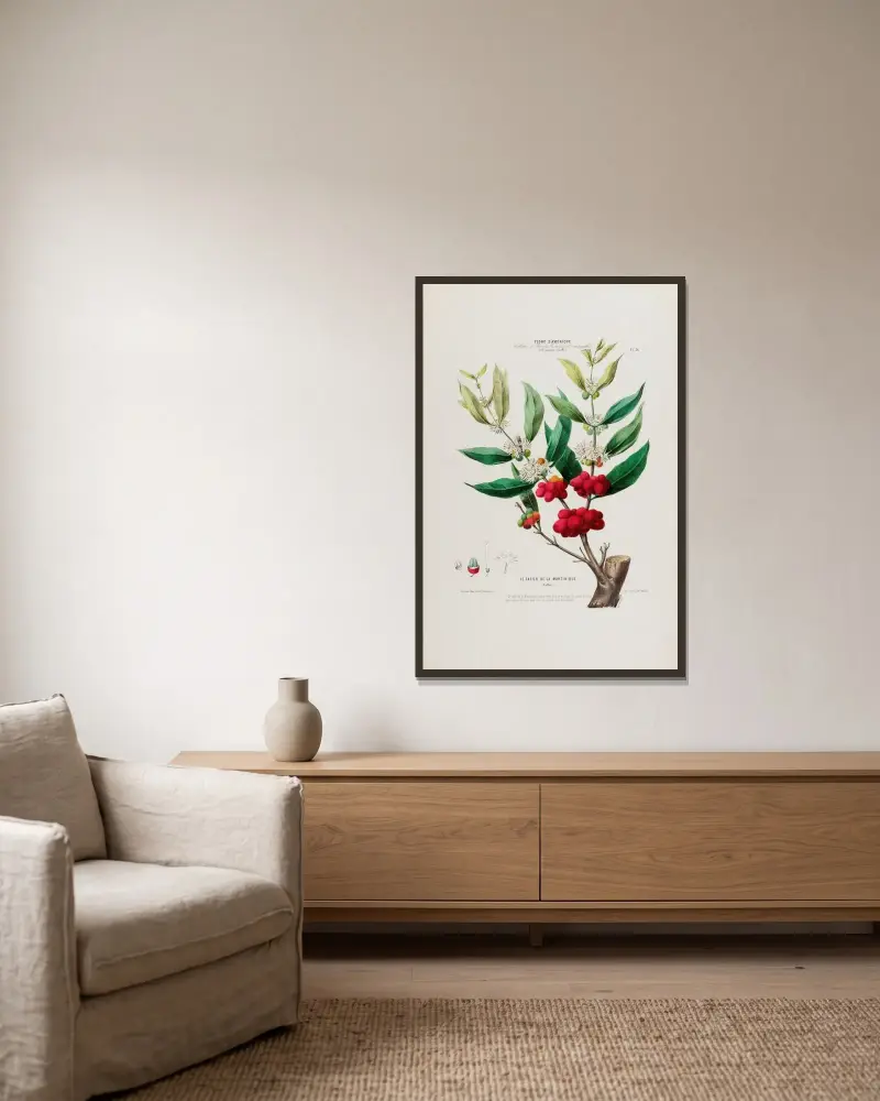Flore d’Amérique, dessinée d’après nature sur les lieux Pl.036 av Etienne Denisse inramad på en vägg