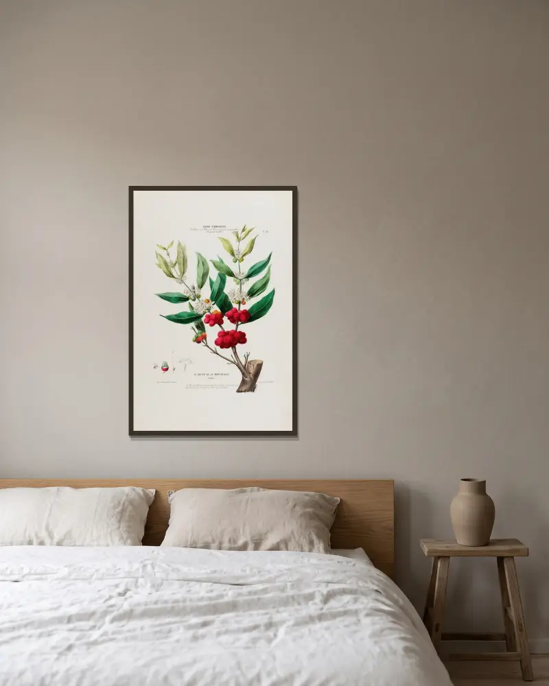 Flore d’Amérique, dessinée d’après nature sur les lieux Pl.036 av Etienne Denisse inramad på en vägg