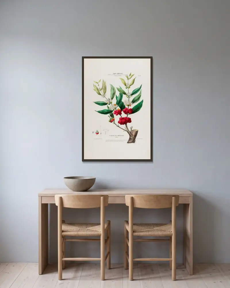 Flore d’Amérique, dessinée d’après nature sur les lieux Pl.036 av Etienne Denisse inramad på en vägg