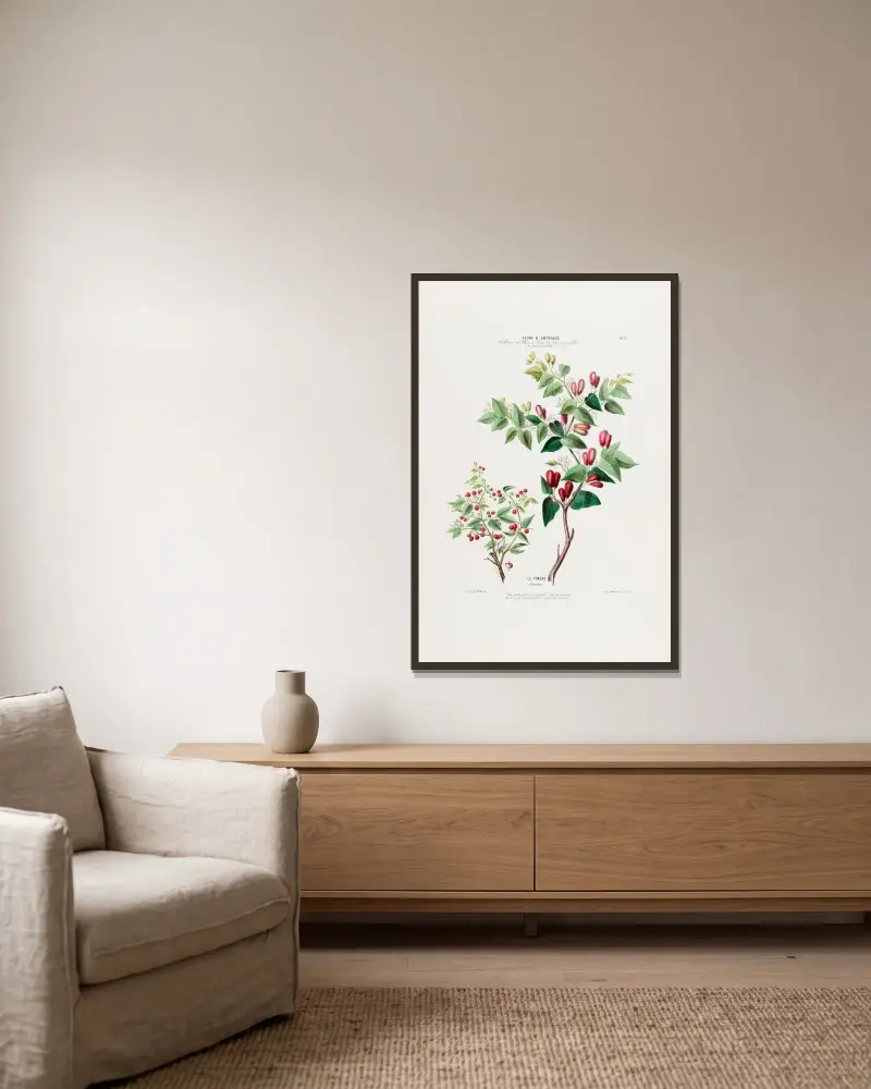 Flore d’Amérique, dessinée d’après nature sur les lieux Pl.037 av Etienne Denisse inramad på en vägg
