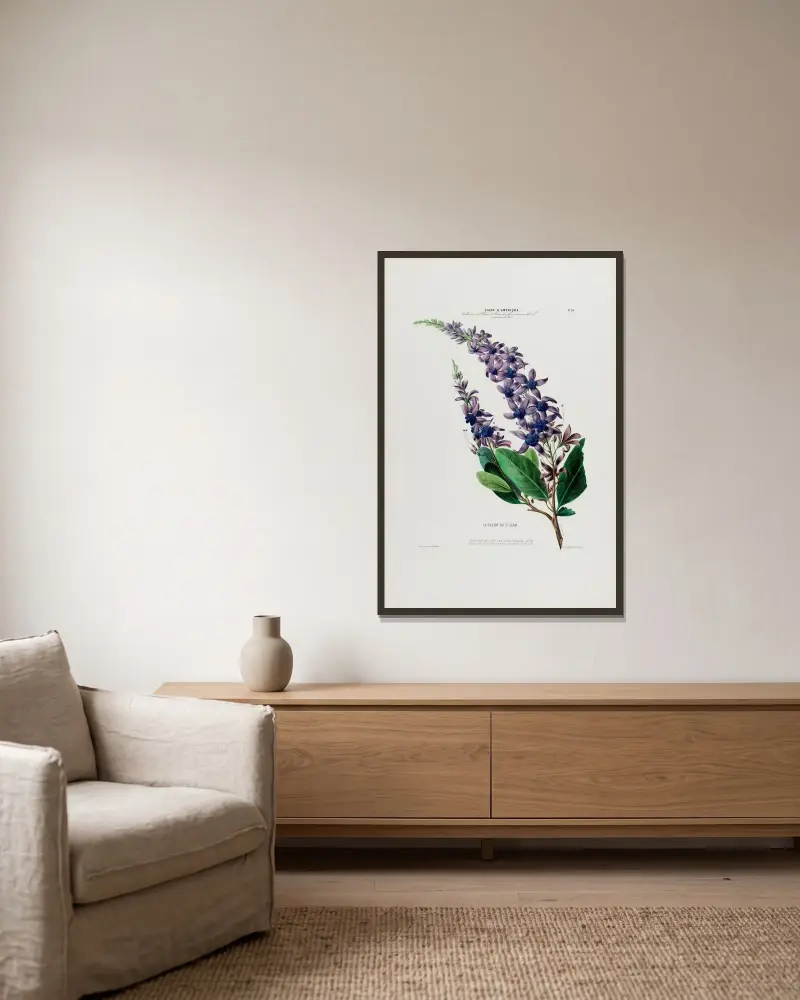Flore d’Amérique, dessinée d’après nature sur les lieux Pl.038 av Etienne Denisse inramad på en vägg