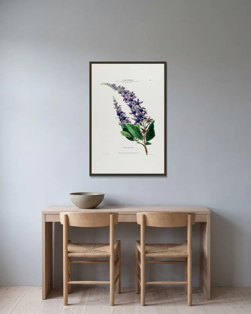 Flore d’Amérique, dessinée d’après nature sur les lieux Pl.038 av Etienne Denisse inramad på en vägg