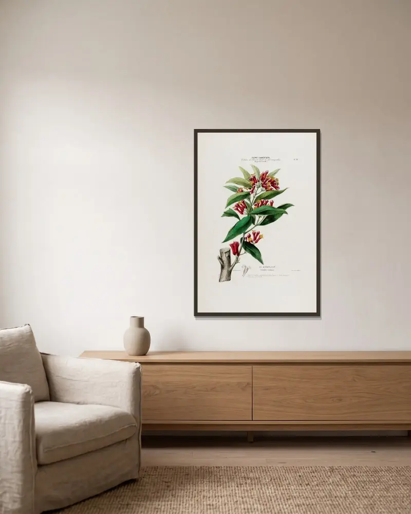 Flore d’Amérique, dessinée d’après nature sur les lieux Pl.039 av Etienne Denisse inramad på en vägg