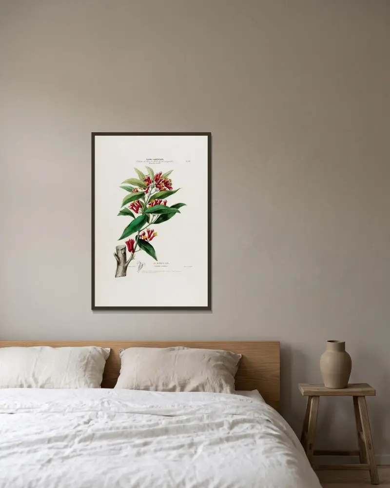 Flore d’Amérique, dessinée d’après nature sur les lieux Pl.039 av Etienne Denisse inramad på en vägg