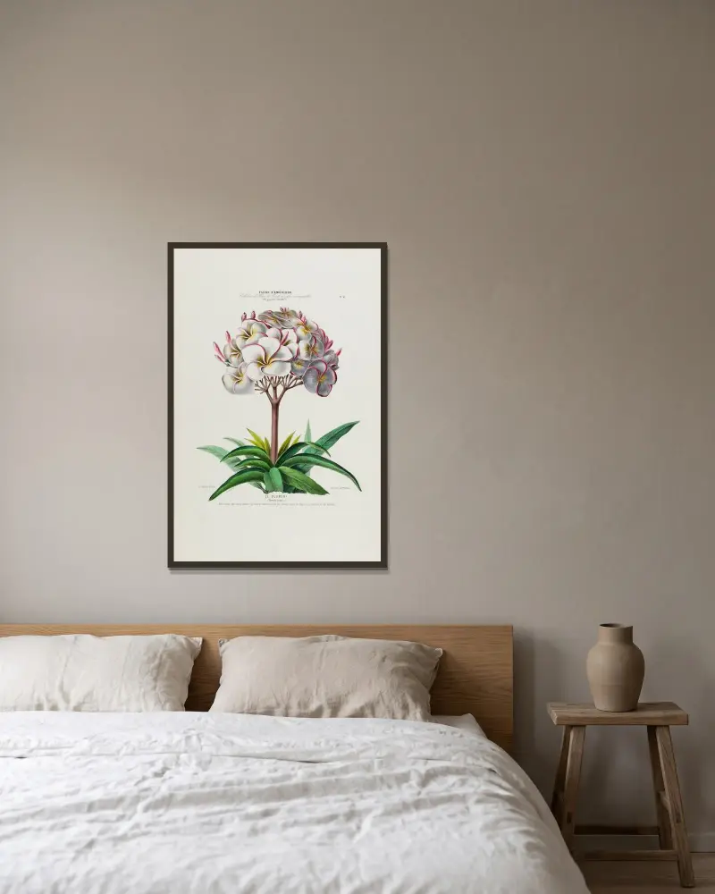Flore d’Amérique, tecknad efter naturen på plats Pl.041 av Etienne Denisse inramad på en vägg