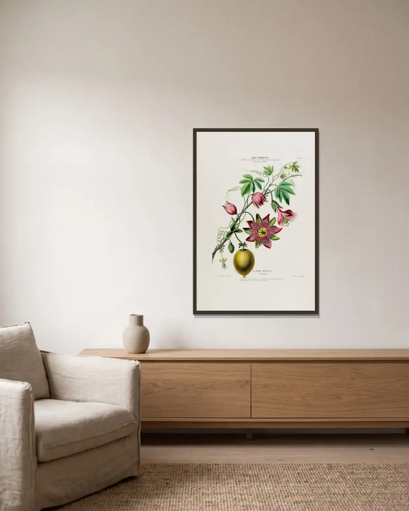 Flore d’Amérique, dessinée d’après nature sur les lieux Pl.042 av Etienne Denisse inramad på en vägg