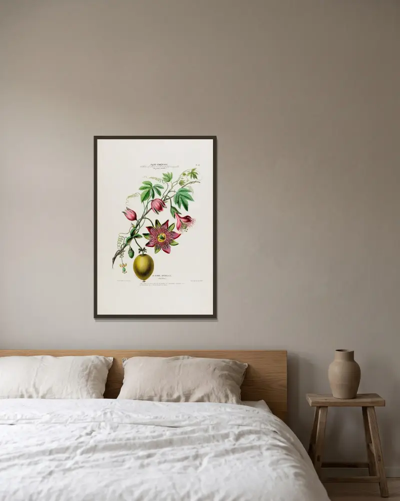 Flore d’Amérique, dessinée d’après nature sur les lieux Pl.042 av Etienne Denisse inramad på en vägg