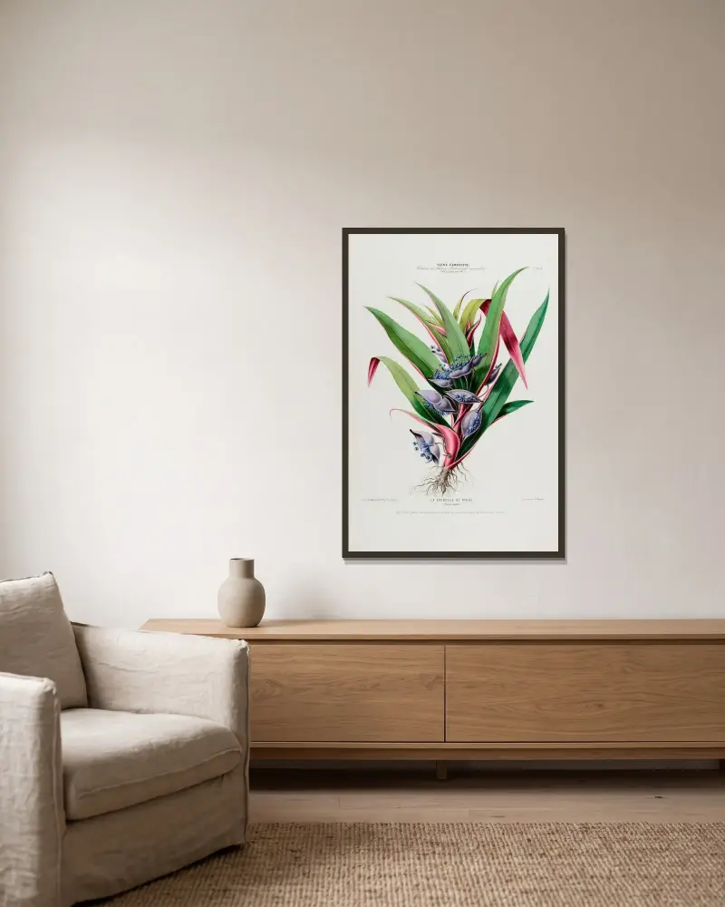 Flore d’Amérique, dessinée d’après nature sur les lieux Pl.044 av Etienne Denisse inramad på en vägg
