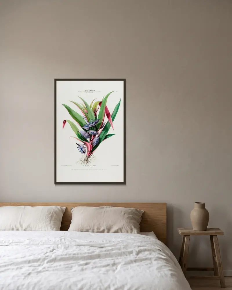 Flore d’Amérique, dessinée d’après nature sur les lieux Pl.044 av Etienne Denisse inramad på en vägg