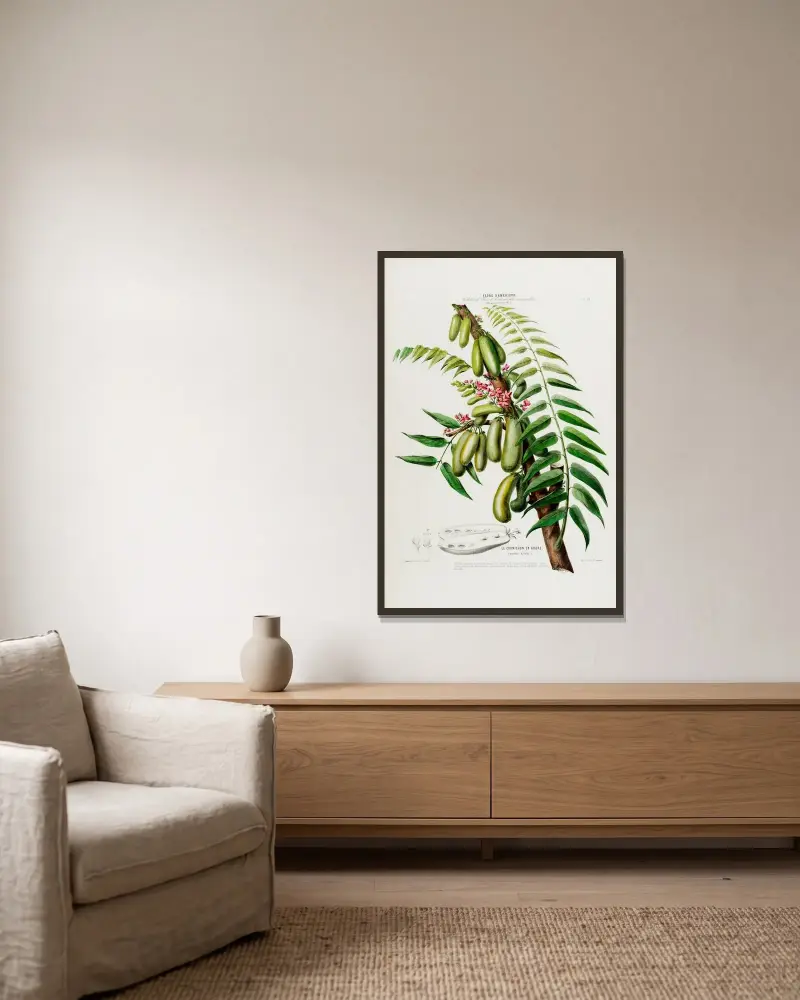Flore d’Amérique, dessinée d’après nature sur les lieux Pl.045 av Etienne Denisse inramad på en vägg