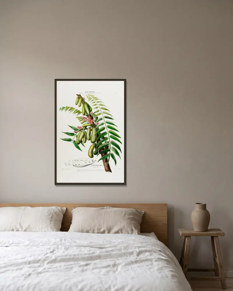 Flore d’Amérique, dessinée d’après nature sur les lieux Pl.045 av Etienne Denisse inramad på en vägg