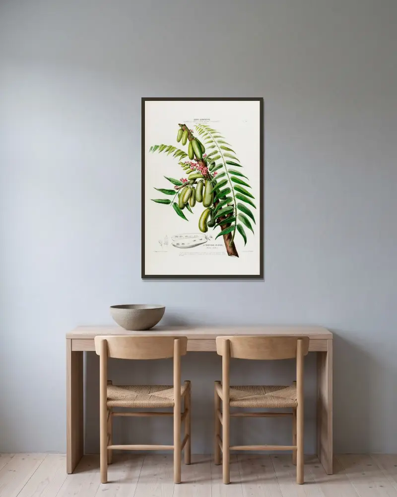 Flore d’Amérique, dessinée d’après nature sur les lieux Pl.045 av Etienne Denisse inramad på en vägg