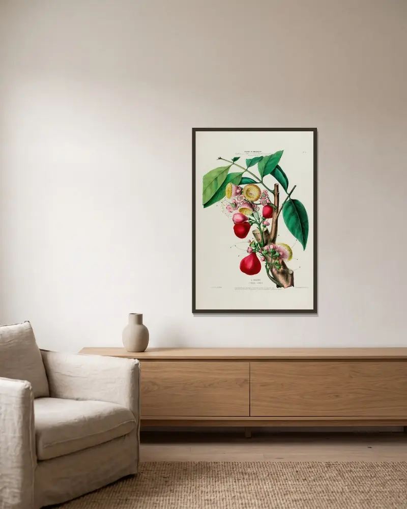 Flore d’Amérique, dessinée d’après nature sur les lieux Pl.047 av Etienne Denisse inramad på en vägg