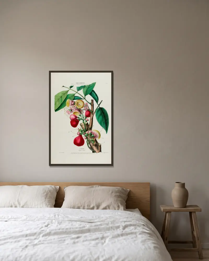 Flore d’Amérique, dessinée d’après nature sur les lieux Pl.047 av Etienne Denisse inramad på en vägg