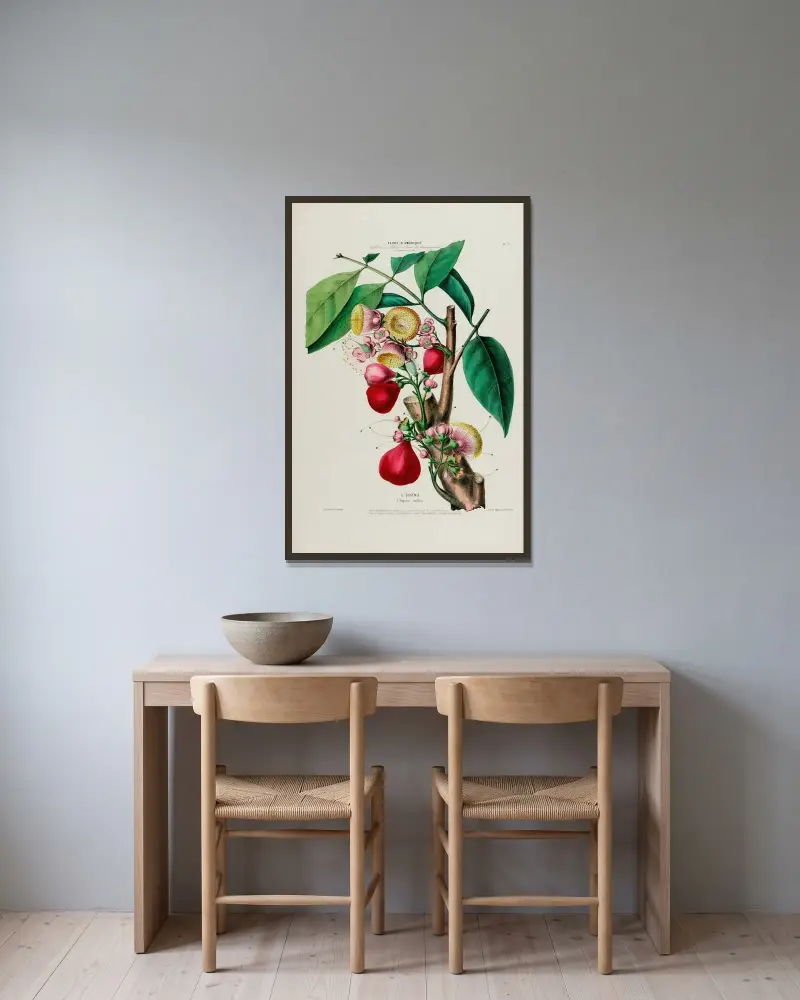 Flore d’Amérique, dessinée d’après nature sur les lieux Pl.047 av Etienne Denisse inramad på en vägg