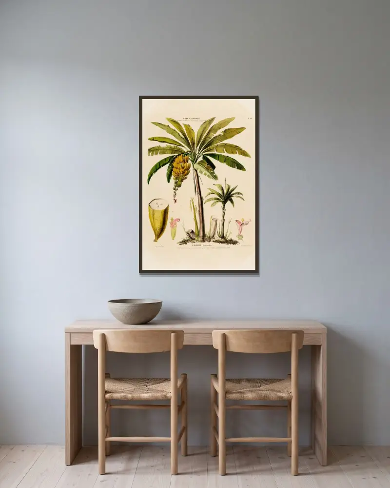 Flora över Amerika, tecknad efter naturen på plats Pl.048 av Etienne Denisse inramad på en vägg