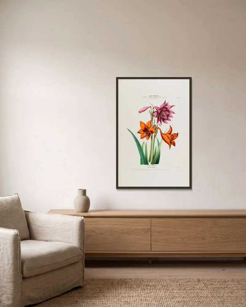 Flore d’Amérique, dessinée d’après nature sur les lieux Pl.049 von Etienne Denisse gerahmt an einer Wand