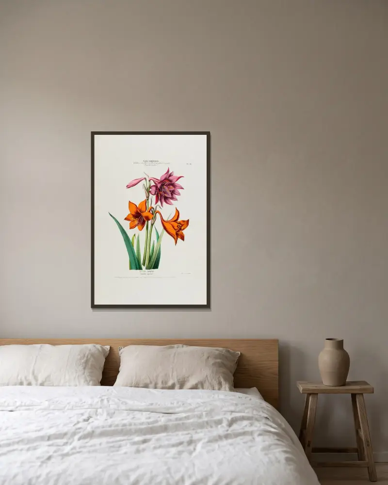 Flore d’Amérique, dessinée d’après nature sur les lieux Pl.049 von Etienne Denisse gerahmt an einer Wand