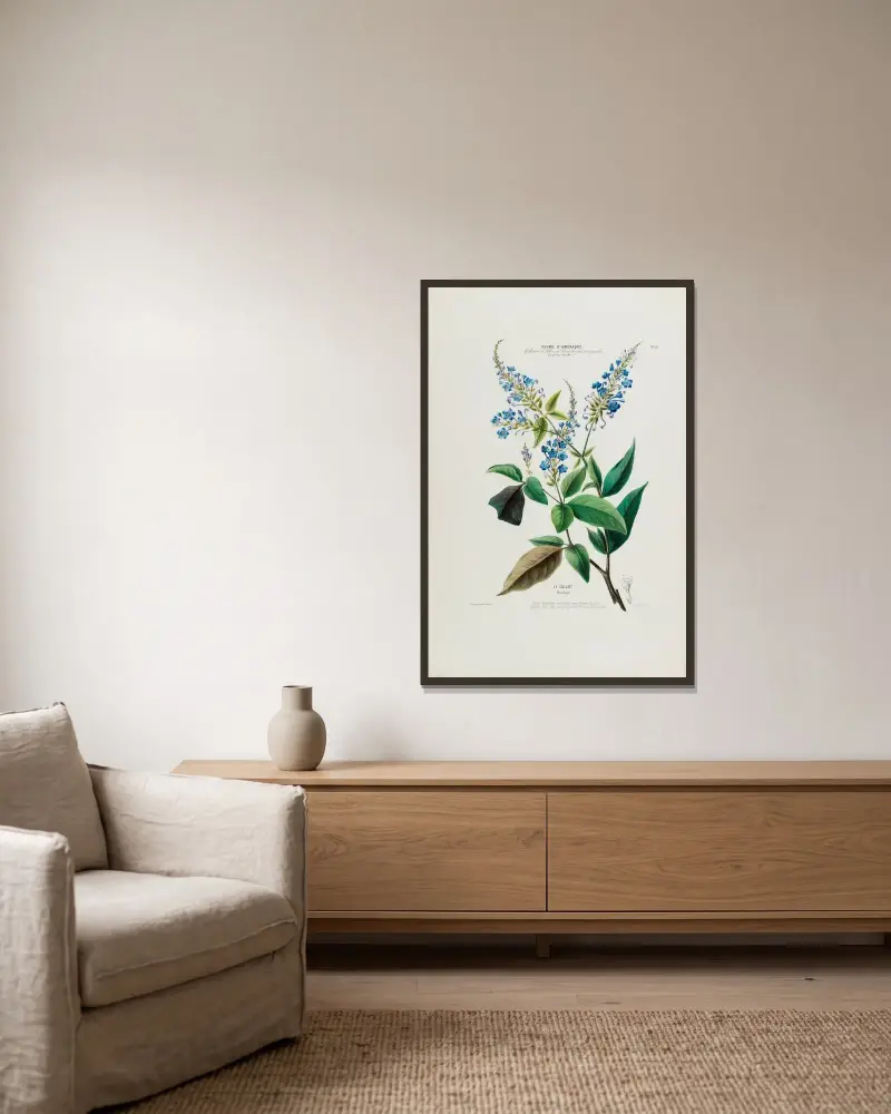 Flore d’Amérique, dessinée d’après nature sur les lieux Pl.050 av Etienne Denisse inramad på en vägg