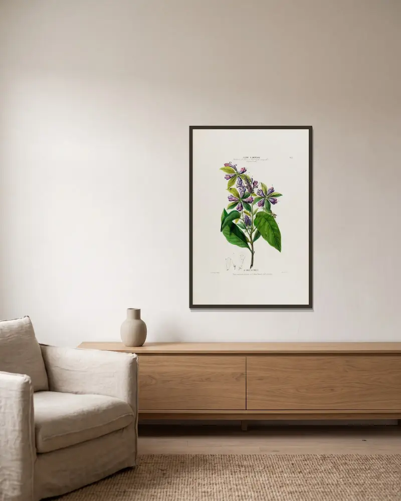 Flore d’Amérique, tecknad efter naturen på plats, pl. 51 av Etienne Denisse inramad på en vägg