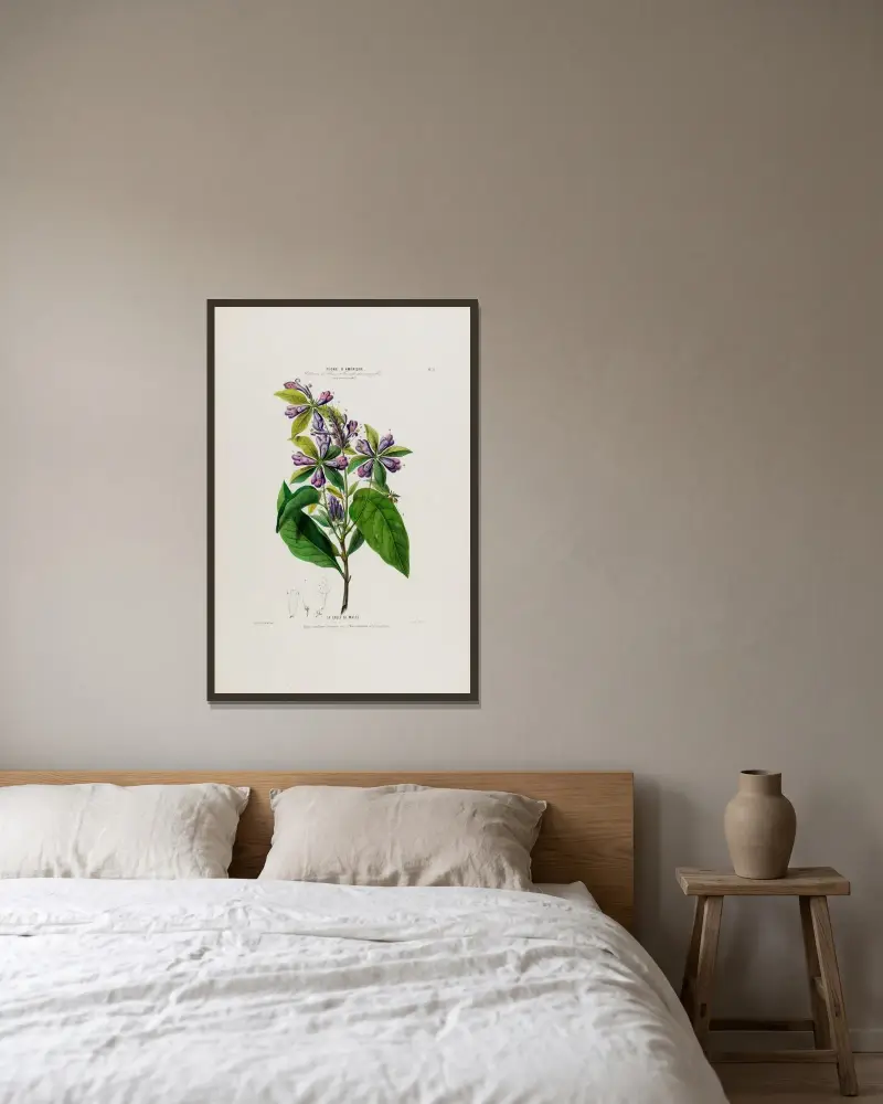 Flore d’Amérique, tecknad efter naturen på plats, pl. 51 av Etienne Denisse inramad på en vägg