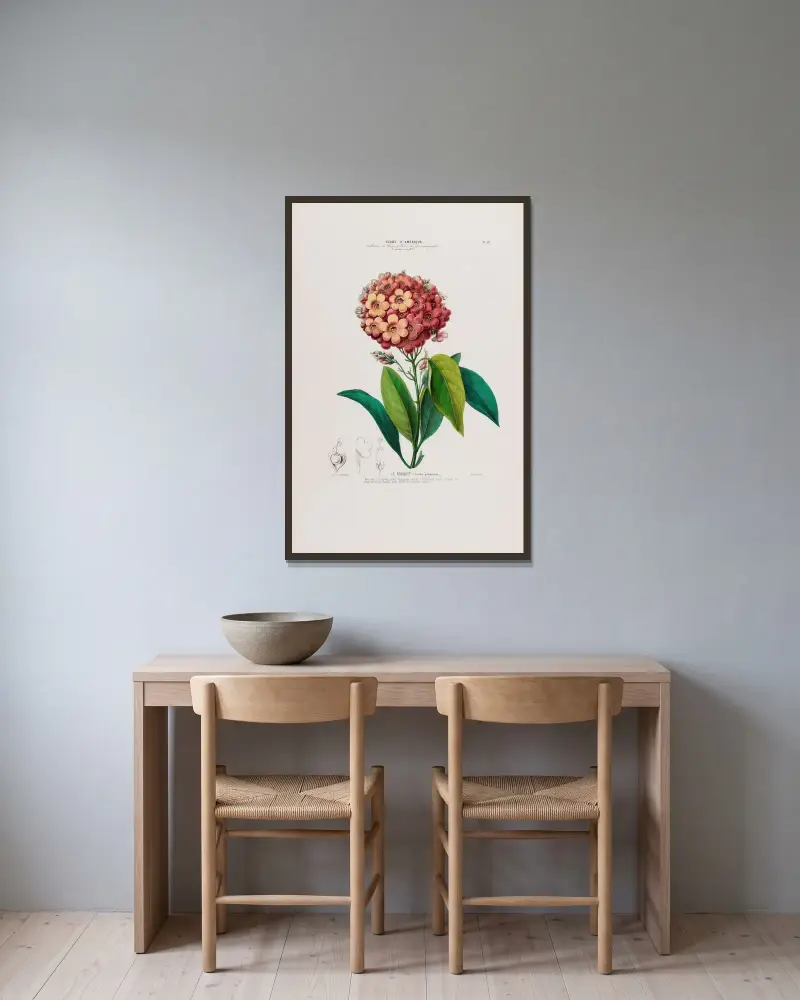 Flore d’Amérique, dessinée d’après nature sur les lieux Pl.052 av Etienne Denisse inramad på en vägg