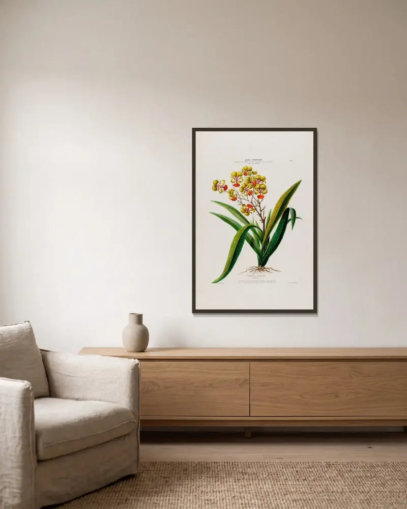 Flore d’Amérique, dessinée d’après nature sur les lieux Pl.053 av Etienne Denisse inramad på en vägg