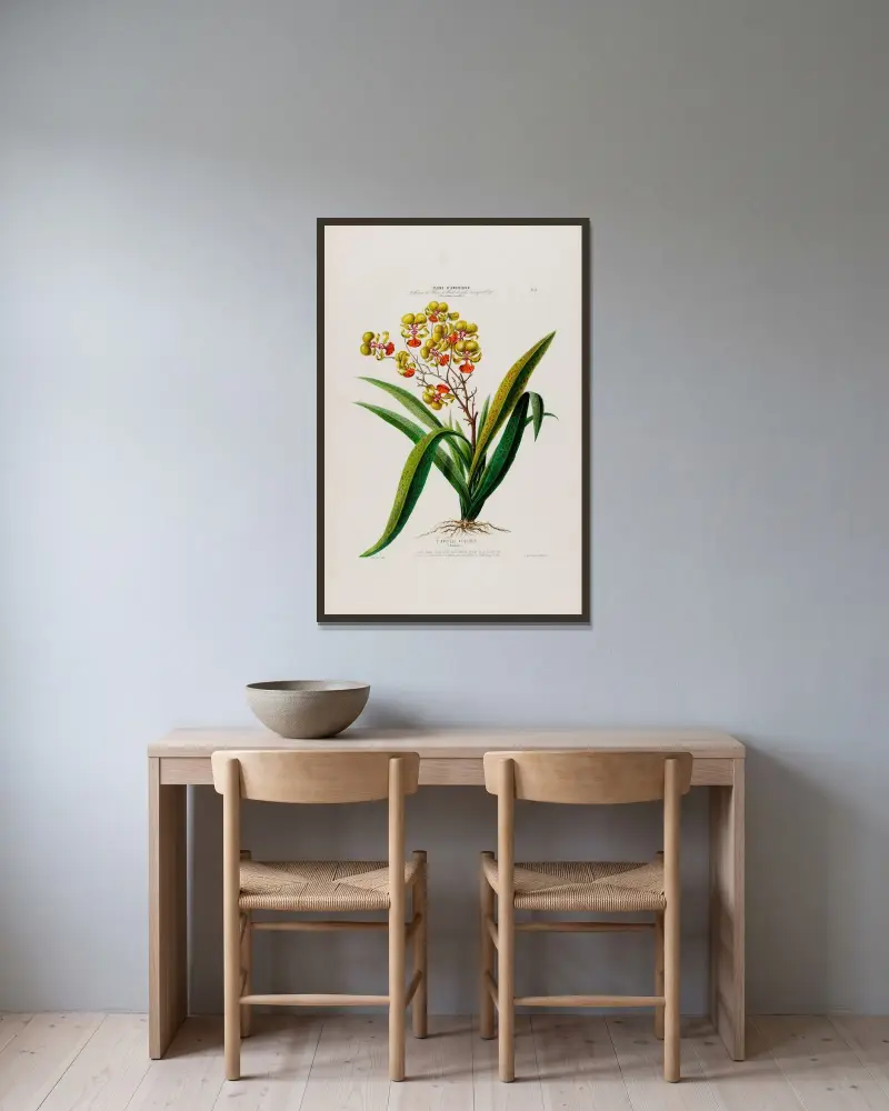 Flore d’Amérique, dessinée d’après nature sur les lieux Pl.053 av Etienne Denisse inramad på en vägg