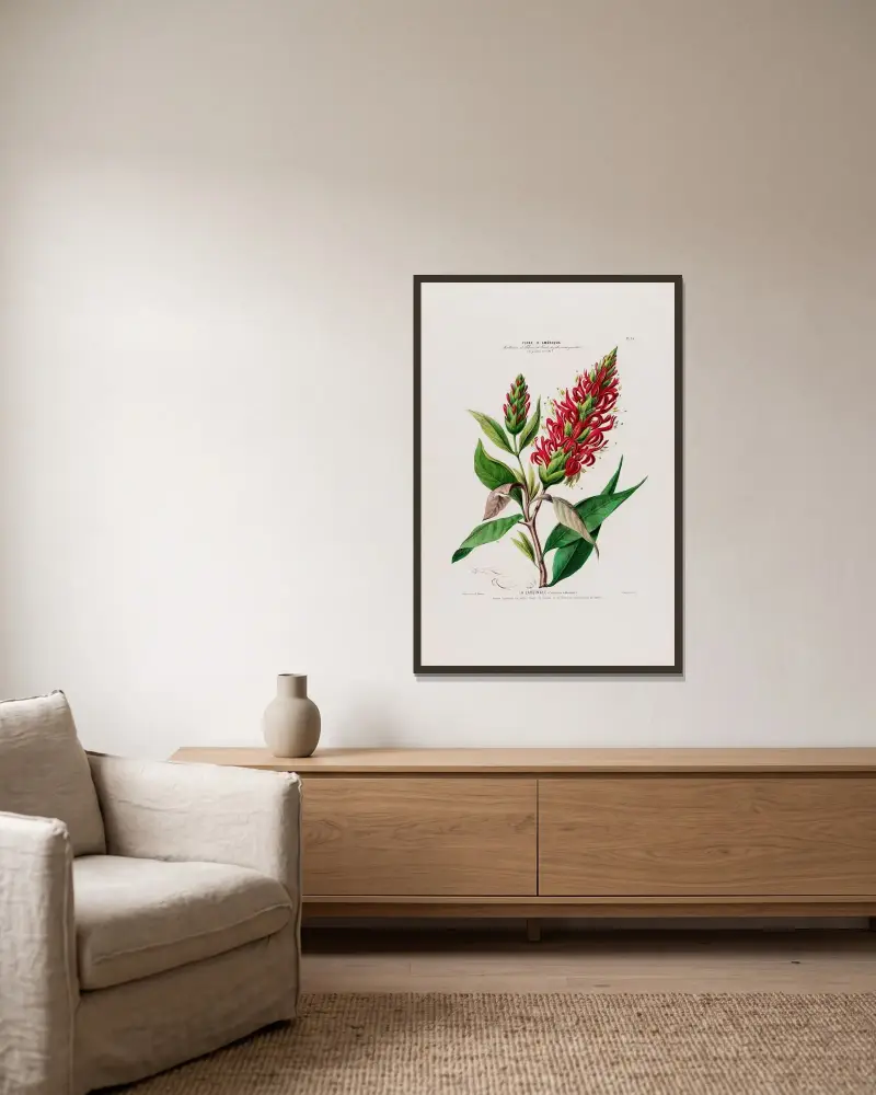 Flore d’Amérique, dessinée d’après nature sur les lieux Pl.054 av Etienne Denisse inramad på en vägg